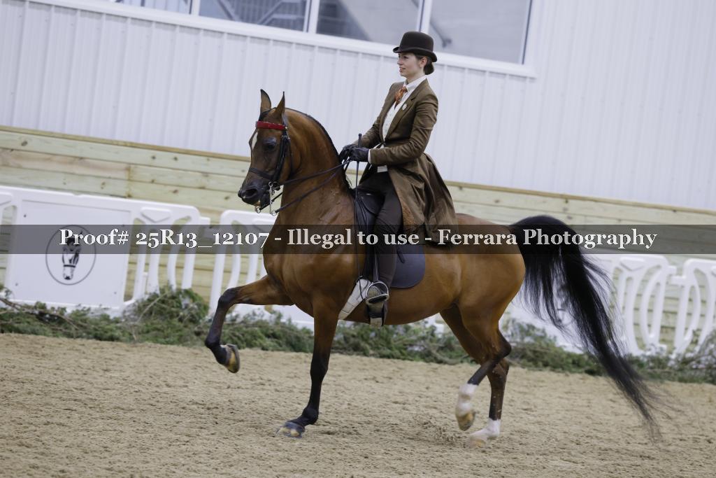 Proof Number 25R13_12107