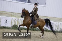 25R13_12107 thumbnail