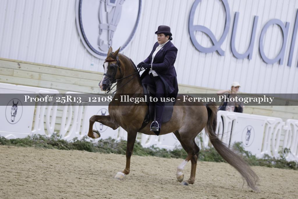 Proof Number 25R13_12108