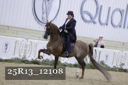 25R13_12108 thumbnail