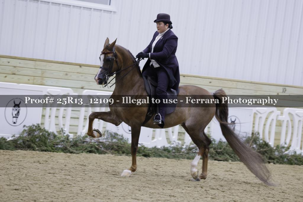 Proof Number 25R13_12109