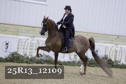 25R13_12109 thumbnail