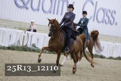 25R13_12110 thumbnail