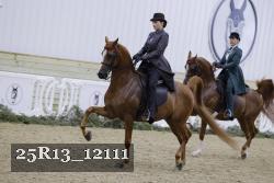 25R13_12111 thumbnail