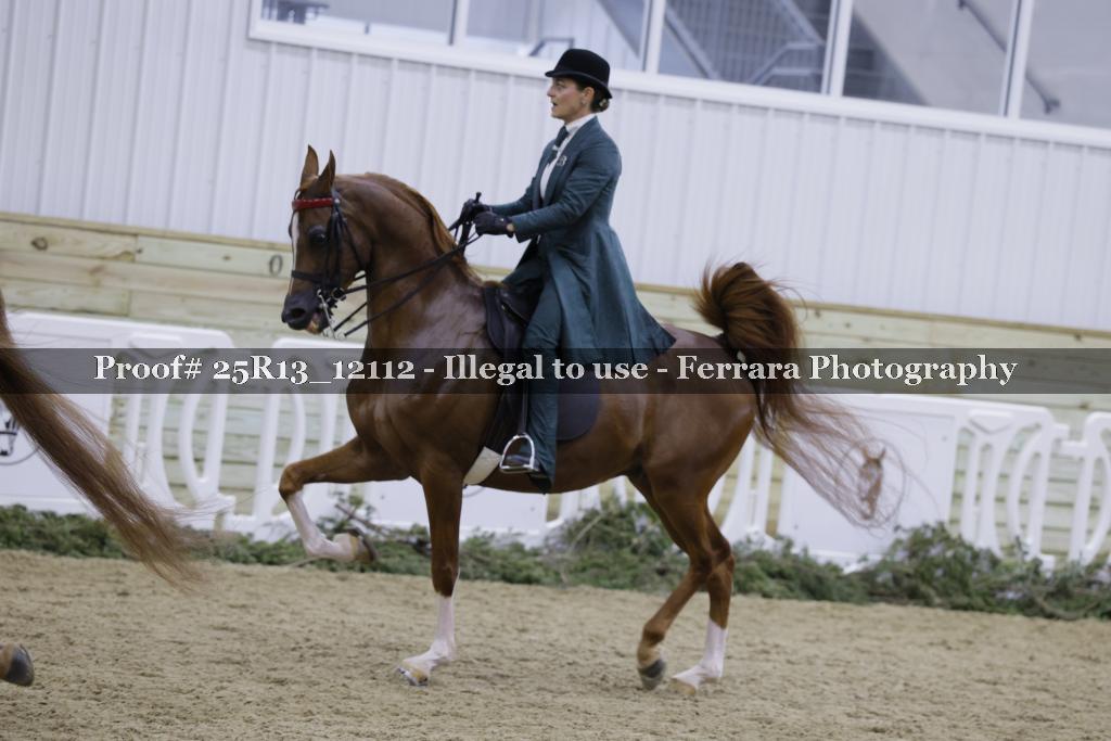 Proof Number 25R13_12112