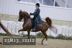 25R13_12112 thumbnail