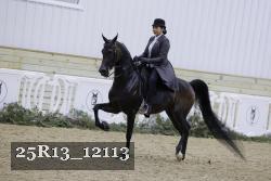 25R13_12113 thumbnail