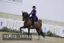 25R13_12114 thumbnail
