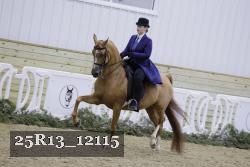 25R13_12115 thumbnail
