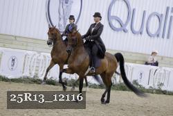 25R13_12116 thumbnail
