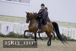 25R13_12117 thumbnail