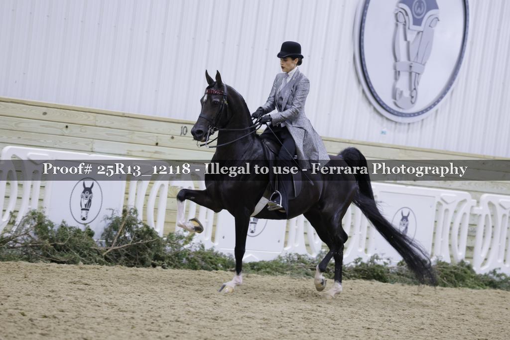Proof Number 25R13_12118