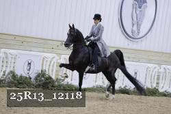 25R13_12118 thumbnail