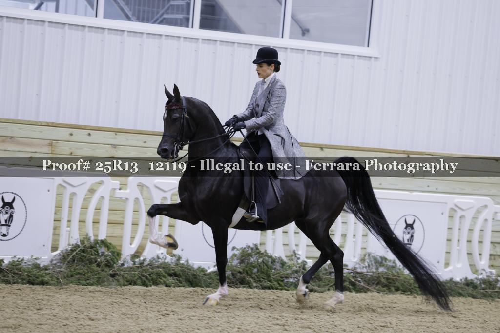 Proof Number 25R13_12119
