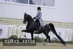 25R13_12119 thumbnail