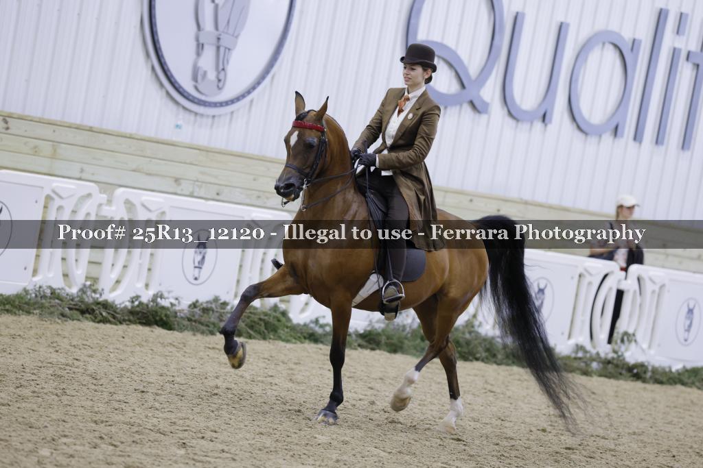 Proof Number 25R13_12120