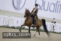25R13_12120 thumbnail