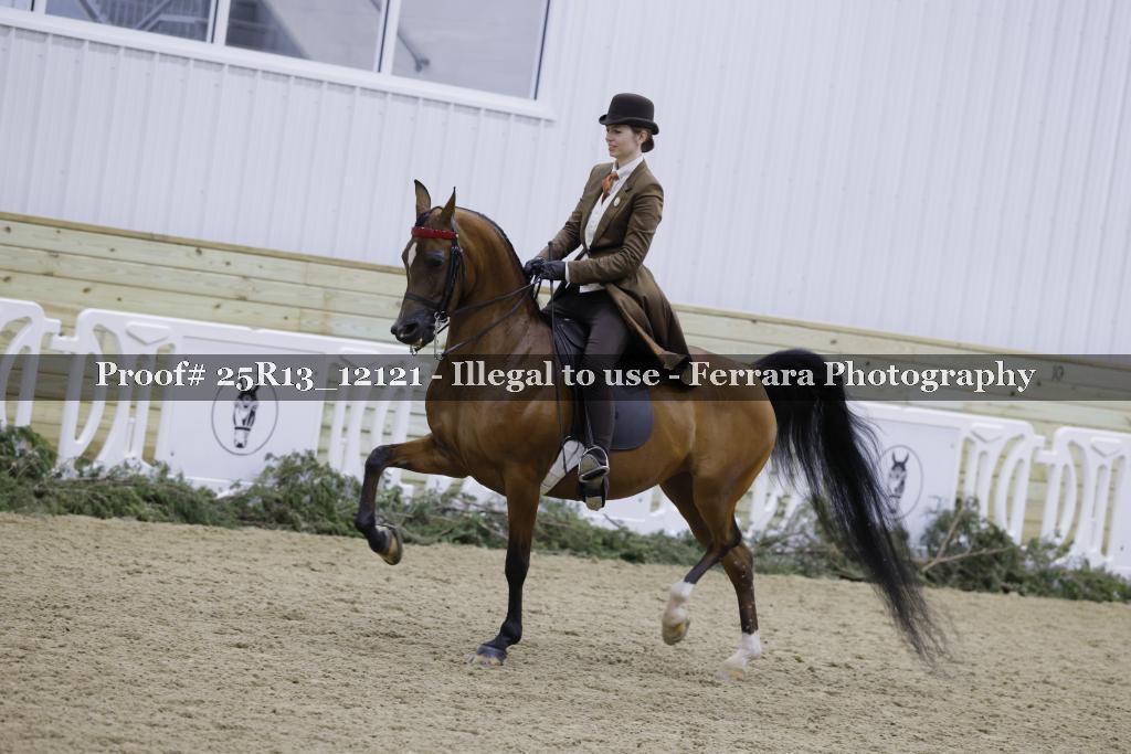 Proof Number 25R13_12121