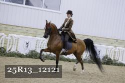 25R13_12121 thumbnail