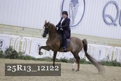 25R13_12122 thumbnail