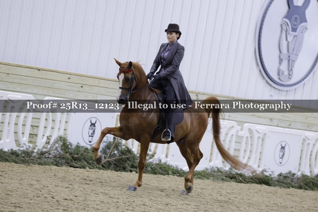Proof Number 25R13_12123