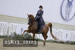 25R13_12123 thumbnail