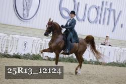25R13_12124 thumbnail
