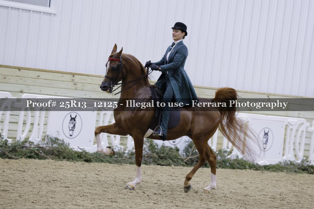 Proof Number 25R13_12125