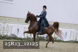 25R13_12125 thumbnail