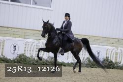 25R13_12126 thumbnail