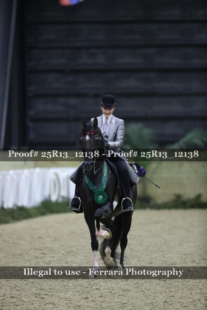 Proof Number 25R13_12138