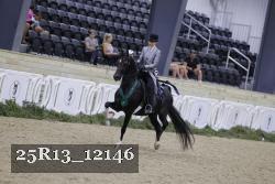 25R13_12146 thumbnail