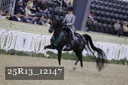 25R13_12147 thumbnail