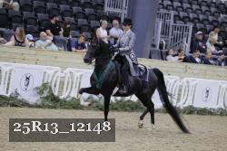 25R13_12148 thumbnail