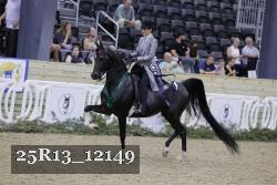 25R13_12149 thumbnail