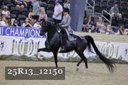 25R13_12150 thumbnail