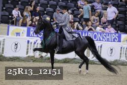 25R13_12151 thumbnail