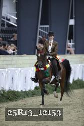25R13_12153 thumbnail