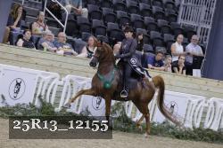 25R13_12155 thumbnail