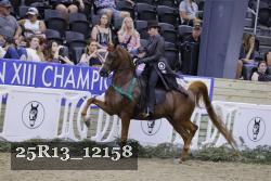 25R13_12158 thumbnail
