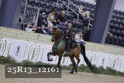 25R13_12161 thumbnail