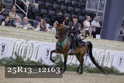 25R13_12163 thumbnail
