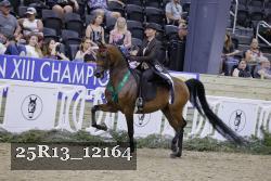 25R13_12164 thumbnail