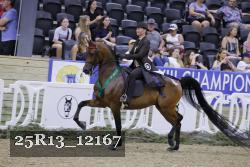 25R13_12167 thumbnail