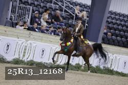 25R13_12168 thumbnail