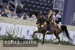 25R13_12169 thumbnail
