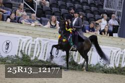 25R13_12177 thumbnail