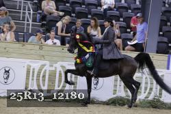 25R13_12180 thumbnail