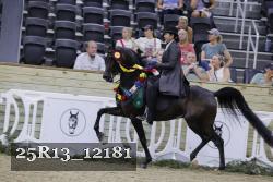 25R13_12181 thumbnail