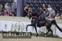 25R13_12182 thumbnail